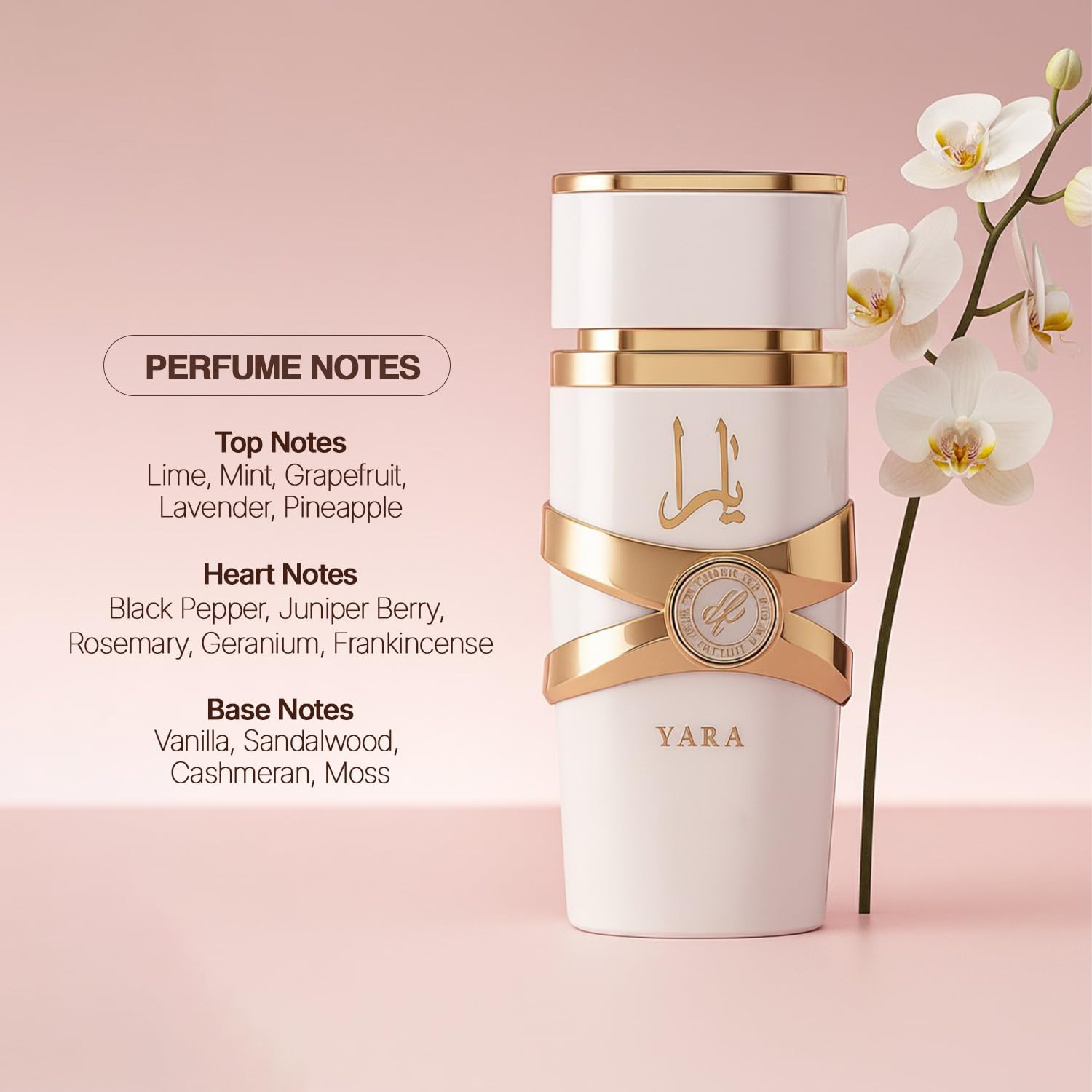 Yara Moi - 3.4 oz Floral, Frut - Yara Perfume Fragrance reseña y precio